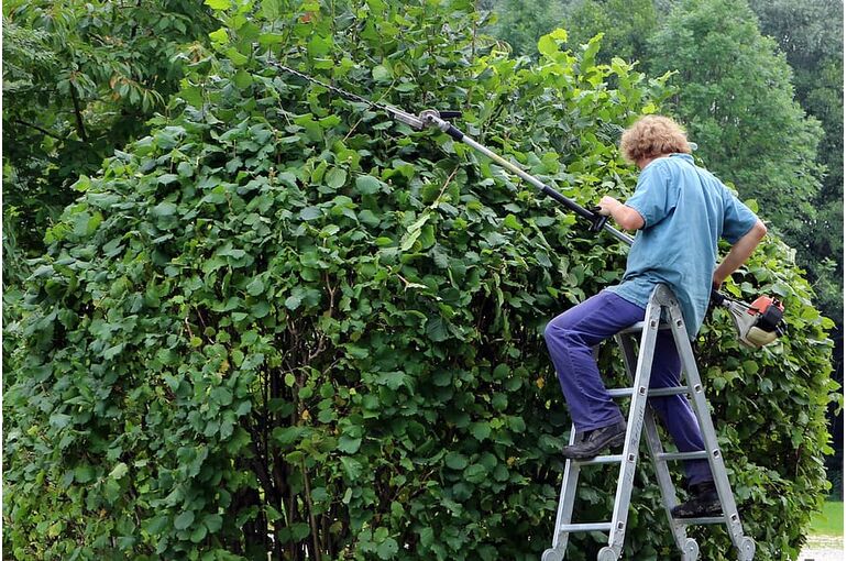 landscape-gardener-gardener-workers-garden