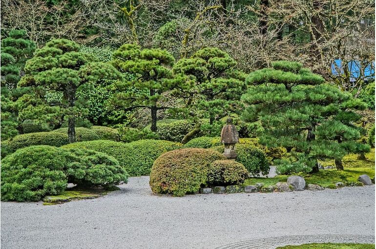 japanese-garden-fall-meditation